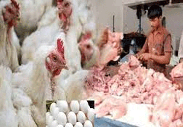 برائلر گوشت