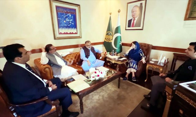 مریم نواز شریف