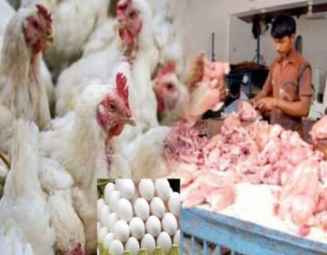 برائلر گوشت