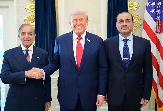 فیلڈ مارشل
