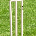 گرین وکٹ