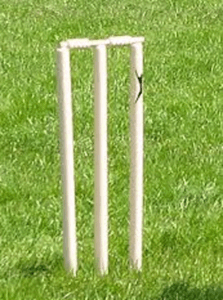 گرین وکٹ