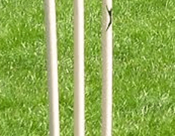 گرین وکٹ
