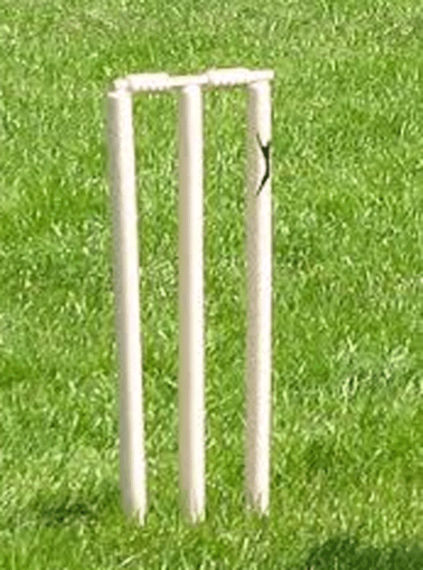 گرین وکٹ